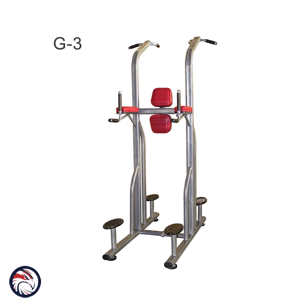 پارالل بارفیکس شکم خلبانی